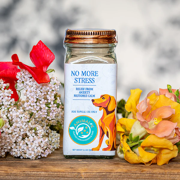 Canine stress 3 1440x1440