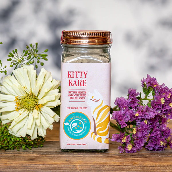 Kitty kare 3 1440x1440