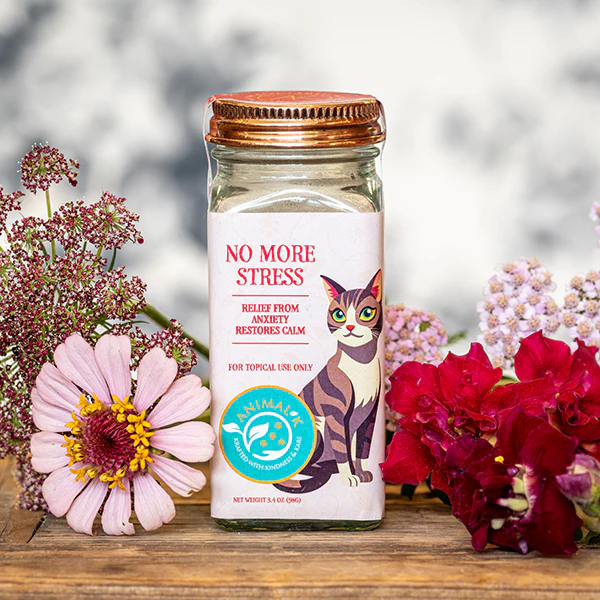 Kitty stress 3 1440x1440