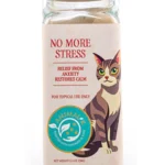 Kitty stress front